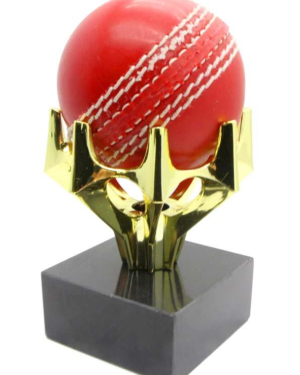 cricket ball holder & base