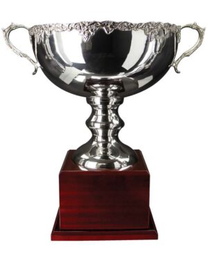 silver presentation bowl