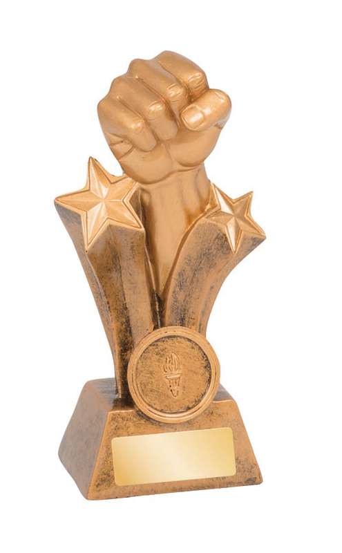 Martial Arts – Karate/Fist - 25mm Insert