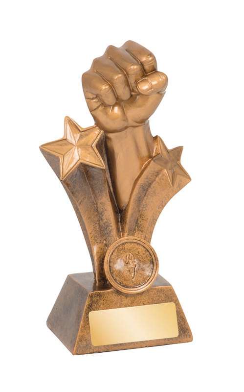 Martial Arts – Karate/Fist - 25mm Insert