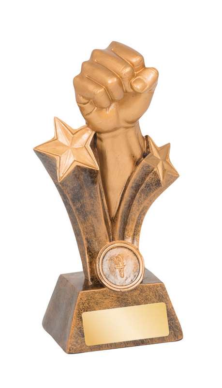 Martial Arts – Karate/Fist - 25mm Insert