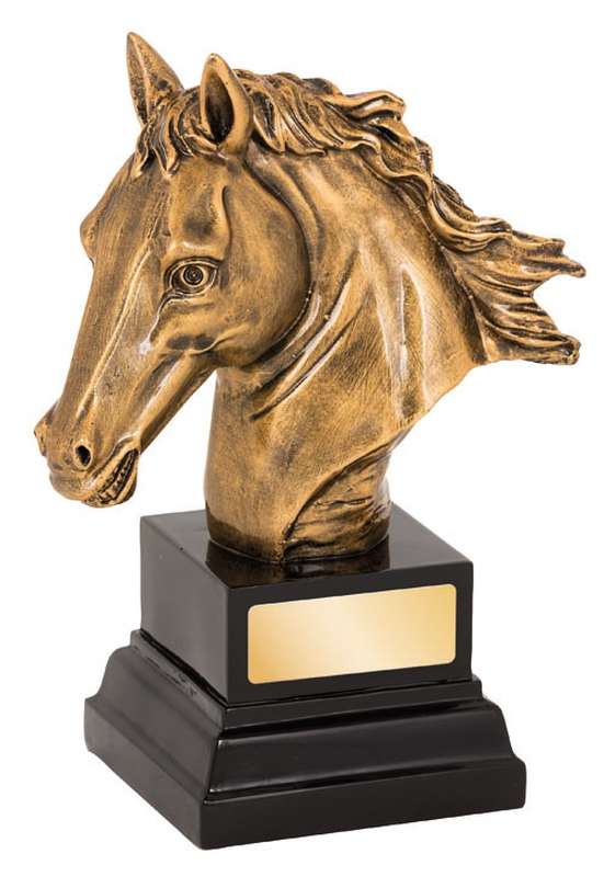 Horse - Horse Head