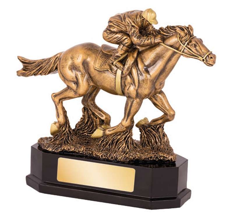 Horse - Racehorse - Single