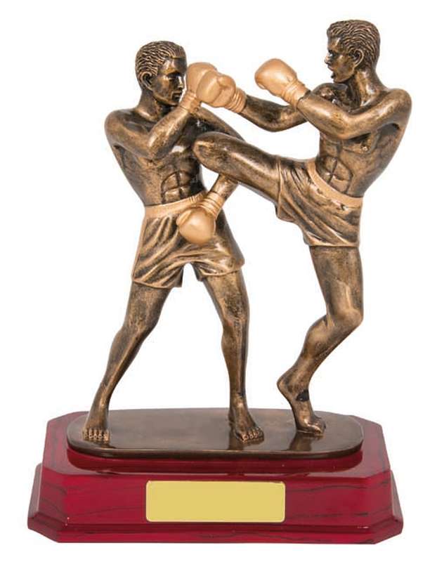 Kick Boxing