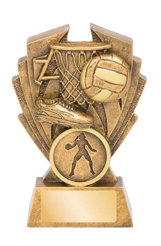 Netball Hawk Series