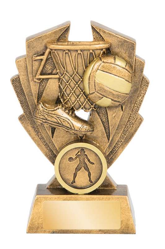 Netball Hawk Series - 25mm Insert