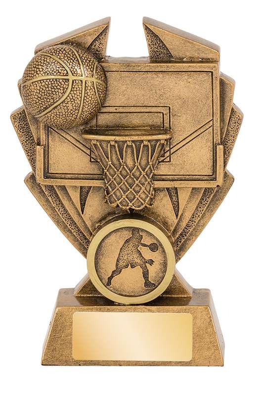 Basketball Hawk Series