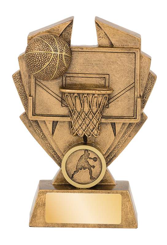 Basketball Hawk Series