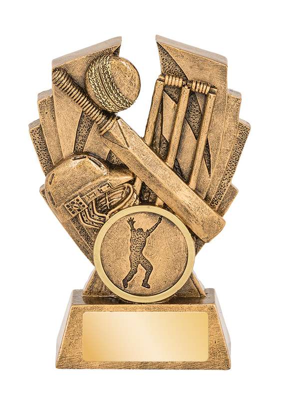 Cricket Hawk Series