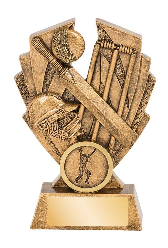 Cricket Hawk Series