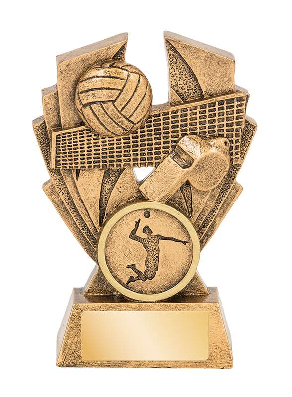 Volleyball Hawk Series