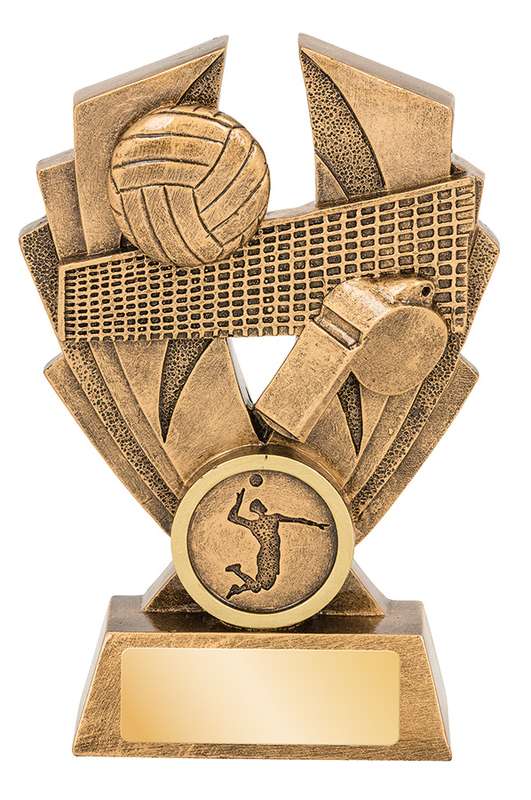 Volleyball Hawk Series