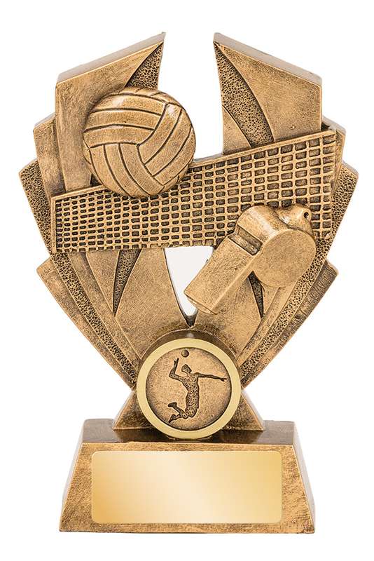 Volleyball Hawk Series