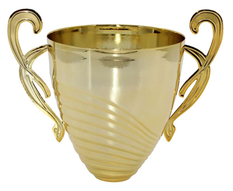100mm Diameter Cup