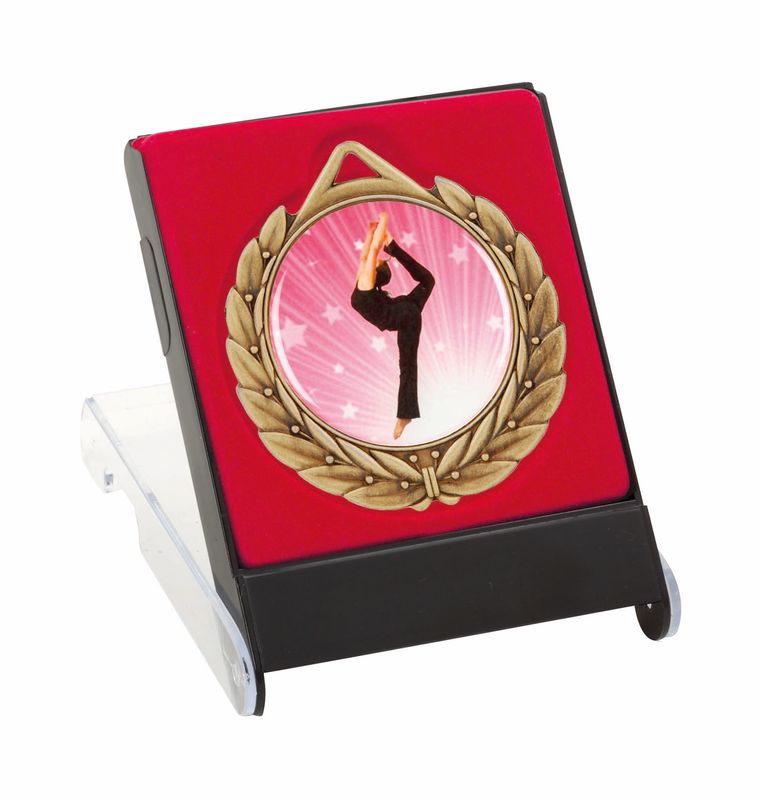 Medal Case