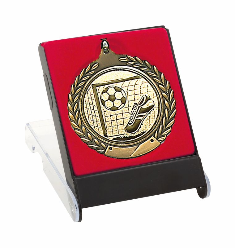 Medal in Case
