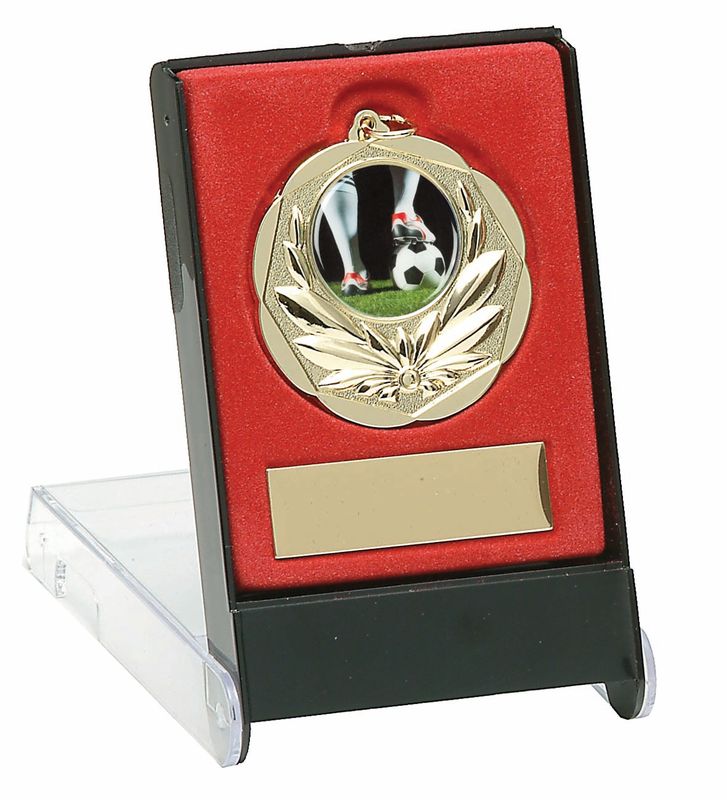 Medal in Case