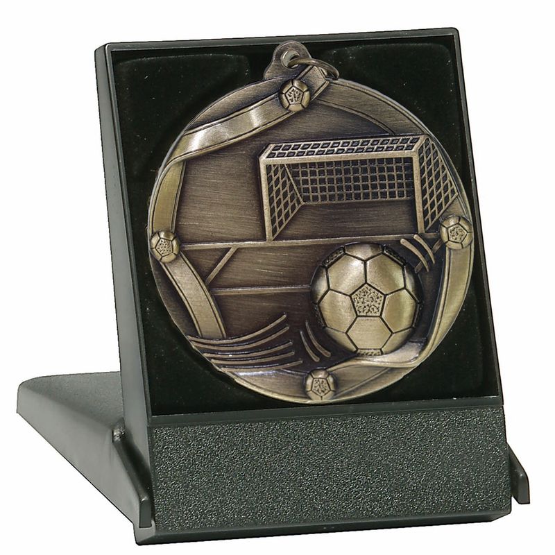 Medal in Case