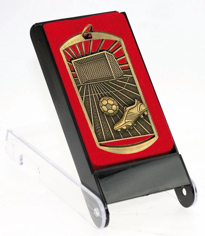 Medal in Case