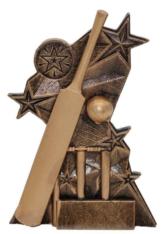 Cricket All Star Series - 25mm Insert