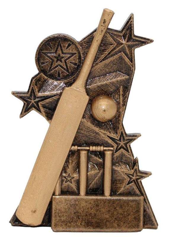 Cricket All Star Series - 25mm Insert