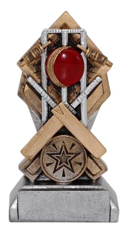 Cricket Extreme Series - 25mm Insert
