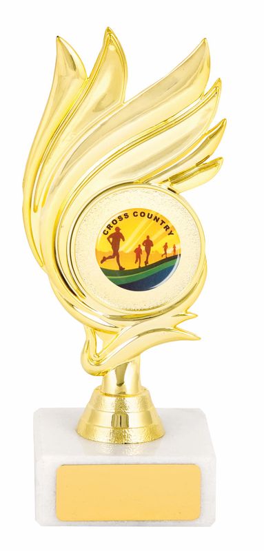General Awards
