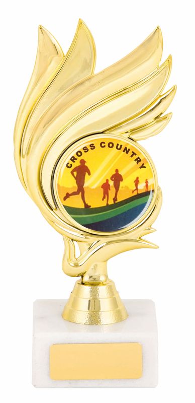 General Awards