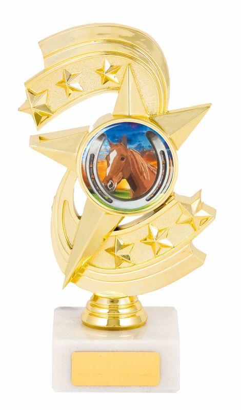 General Awards