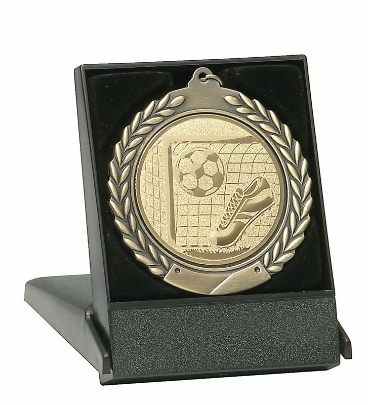 Medal Case