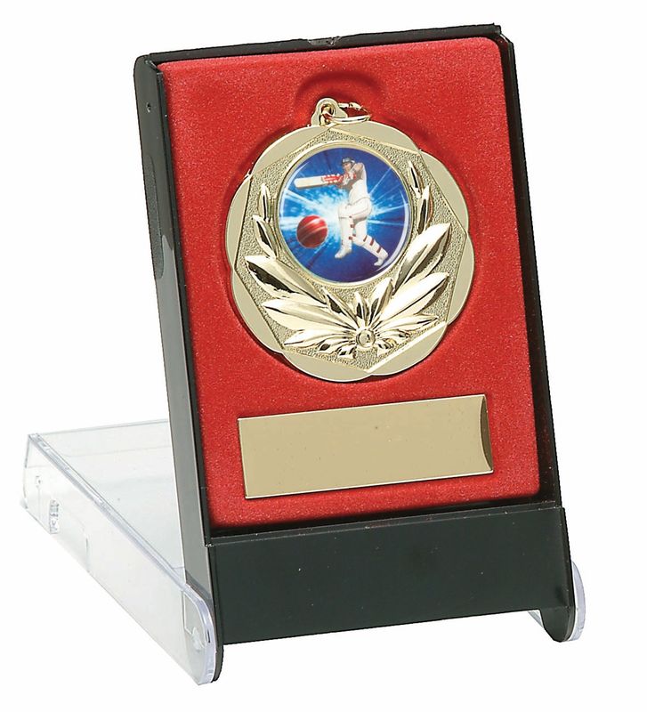 Medal Case