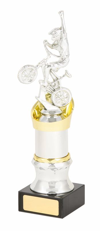 General Awards