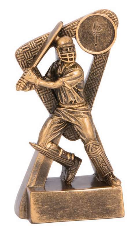 cricket batsman stinger series