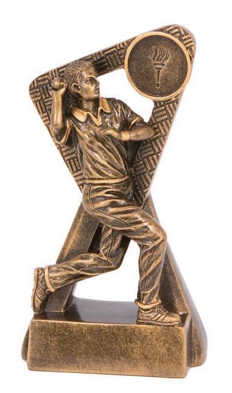 cricket bowler stinger series