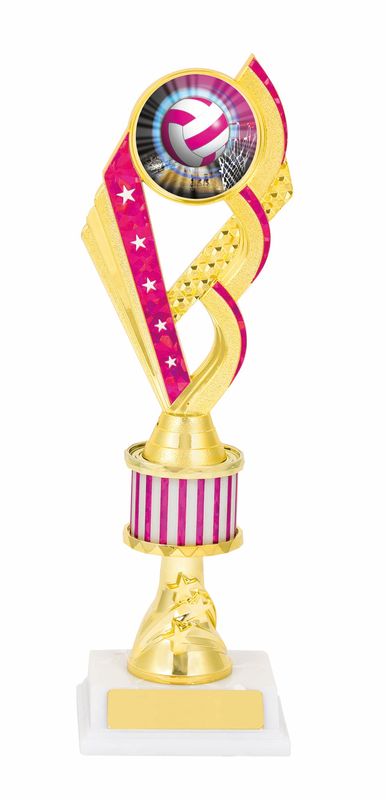 netball trophy