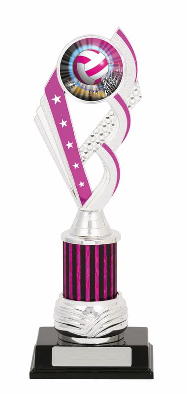 netball trophy