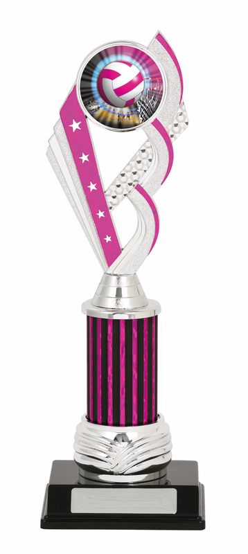 netball trophy