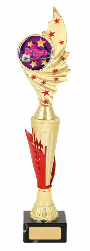 netball trophy