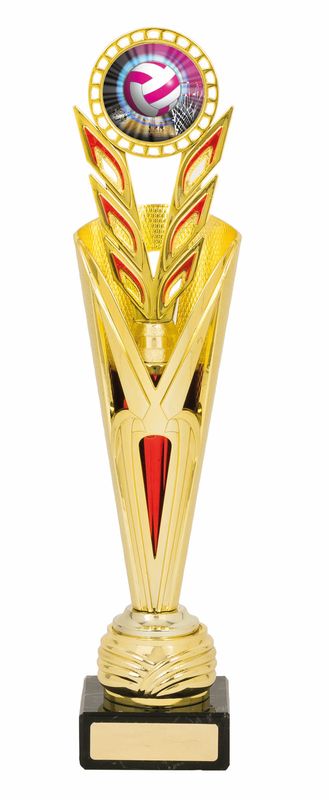 netball trophy