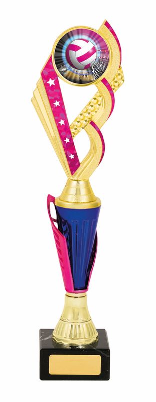 netball trophy