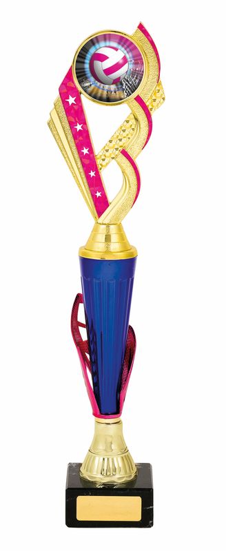 netball trophy