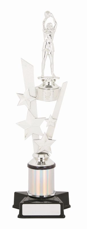netball trophy