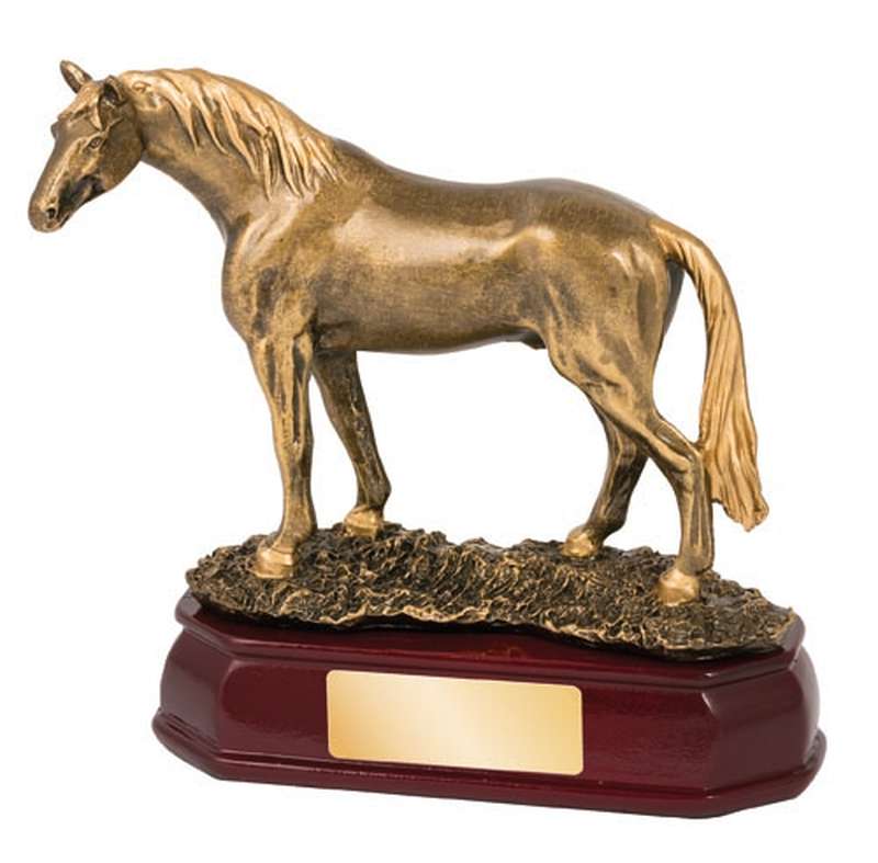 horse – standing