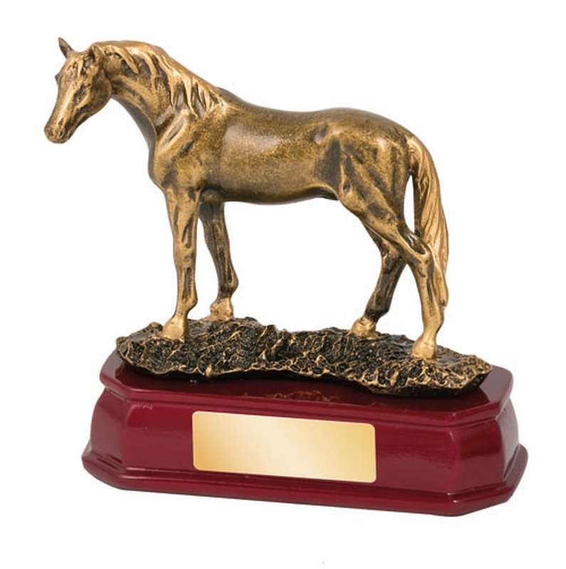 horse – standing