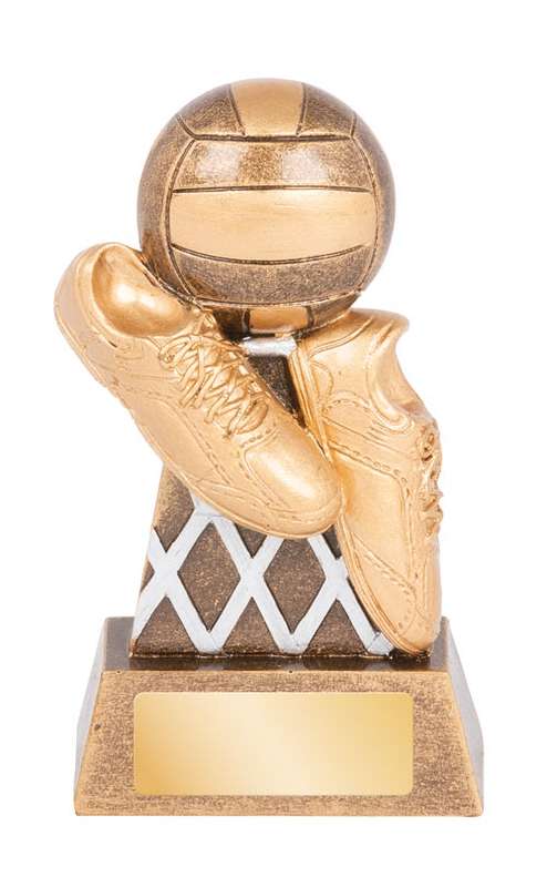 netball cyber series