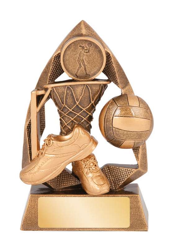 netball – 25mm insert