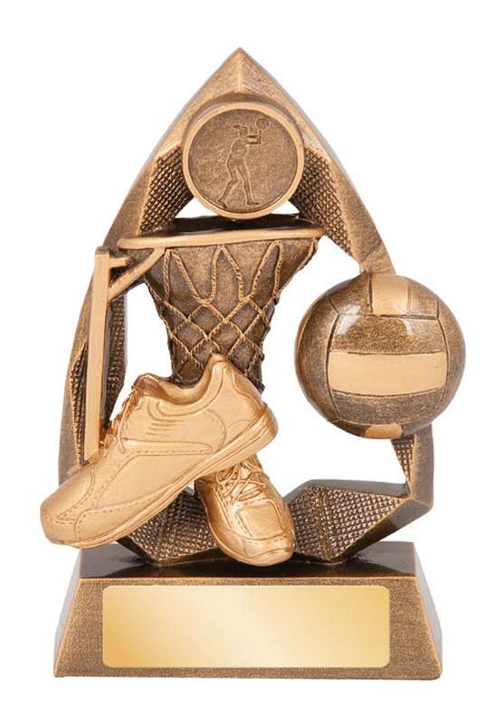 netball – 25mm insert
