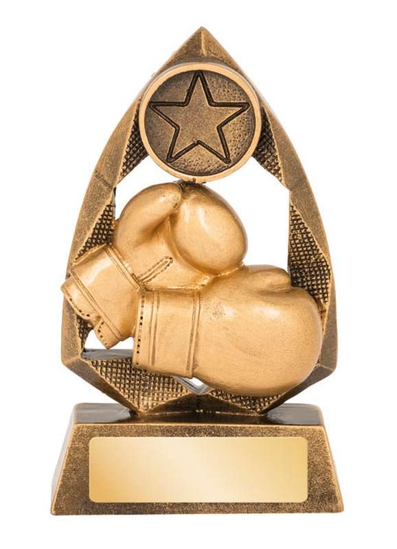boxing 25mm insert