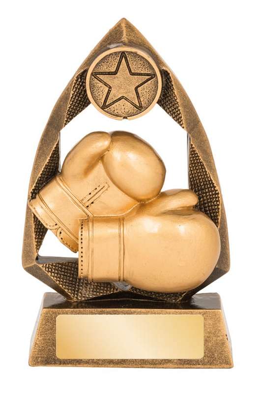 boxing 25mm insert