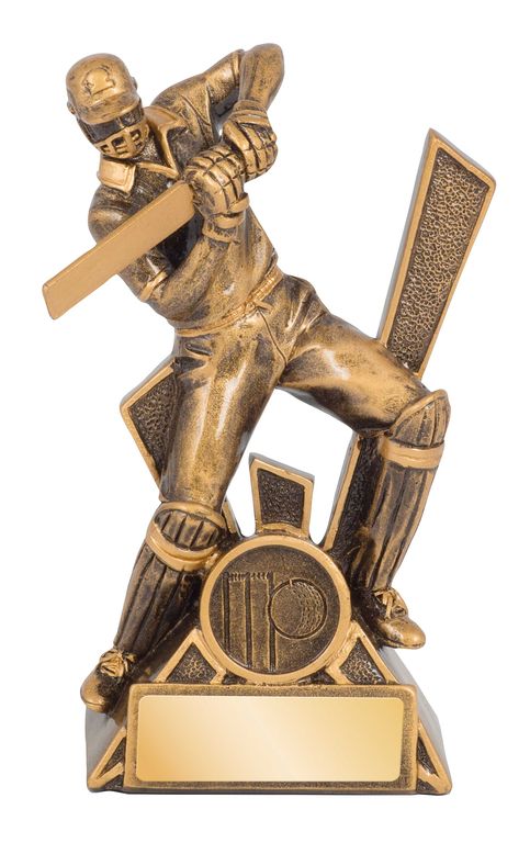 cricket batsman storm series